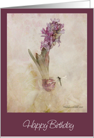 happy birthday purple hyacinth in glass vase with dragon fly card