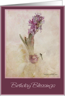 irish blessing happy birthday purple hyacinth in glass vase with dragon fly card