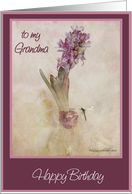 to my grandma happy birthday purple hyacinth in glass vase with dragon fly card
