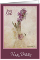 to my sister happy birthday purple hyacinth in glass vase with dragon fly card