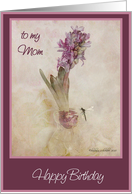 to my mom happy birthday purple hyacinth in glass vase with dragon fly card