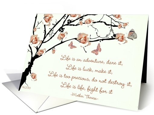 life is an adventure mother theresa card (583210)