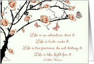 life is an adventure mother theresa card