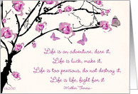 Life is an Adventure Follow Your Dreams Mother Theresa card