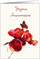 joyeux anniversaire French happy birthday card spring flower butterfly card