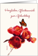 herzlichen Glckwunsch zum Geburtstag German happy birthday card spring flower butterfly card