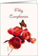 feliz cumpleaos spanish happy birthday card spring flower butterfly card