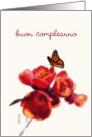 buon compleanno italian happy birthday card spring flower butterfly card
