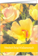 Happy Easter in Polish, Yellow Tulip card