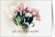 feliz dia de las madres spanish happy mother’s day soft pale tulips floral still life card