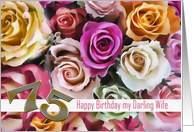75th birthday to my darling wife roses card