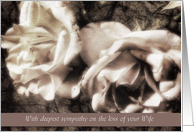 deepest sympathy on the loss of your wife white roses sympathy card