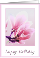 happy birthday magnolia tulip tree card