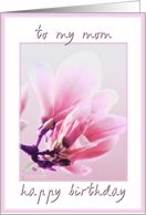 to my mom happy birthday magnolia tulip tree card