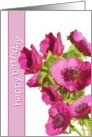 happy birthday pink anemone flowers card