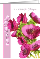 to a Wonderful Colleague Happy Birthday Pink Anemone Flowers card