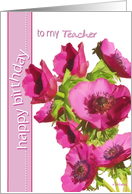 to my teacher happy birthday pink anemone flowers card