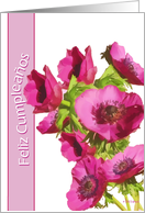 feliz cumpleanos spanish happy birthday pink anemone flowers card