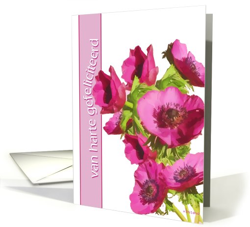 van harte gefeliciteerd dutch happy birthday pink anemone flowers card