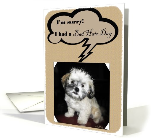 I'm sorry I had a bad hair day please excuse me card (619903)