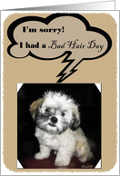 I’m sorry I had a bad hair day please excuse me card