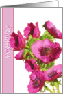 Ευχαριστώ efharisto greek thank you pink anemones flowers card