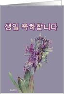 saeng-il chukha-hamnida korean happy birthday mauve flower card