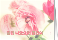 ppallee na-assumyeon choogesso korean get well soon ranunculus flower card
