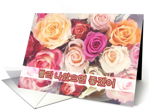 ppallee na-assumyeon choogesso korean get well soon roses flower card