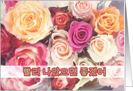 ppallee na-assumyeon choogesso korean get well soon roses flower card
