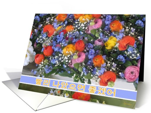 ppallee na-assumyeon choogesso korean get well soon  flowers card