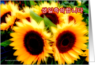 korean happy birthday, sunflowers card