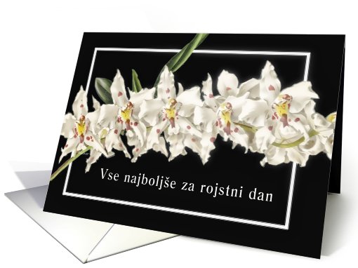 Vse najbolje za rojstni dan slovenian happy birthday orchid card