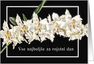 Vse najbolje za rojstni dan slovenian happy birthday orchid card