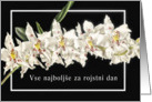 Vse najbolje za rojstni dan slovenian happy birthday orchid card