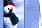 merry christmas to my aunt, snowman, blue, icecrystals card