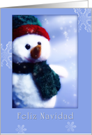 feliz navidad, spanish merry christmas, snowman, snowflakes, ice crystals card