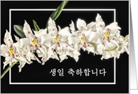 Happy Birthday in Korean, Stunning White Orchid, Black Background card