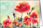 red poppies, watercolor painting card