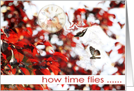 how time flies, hi and hello, butterflies, clock card