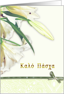 happy easter,Kal psha, greek, white lily card