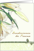 spanish easter blessings, bendiciones de pascua,white lily card