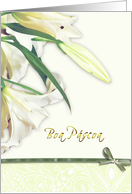boa pascoa, portuguese happy easter,white lily, card