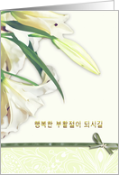 Korean happy easter card,white lily, card