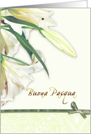 buona pasqua,...