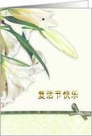 Chinese happy easter card,white lily, card