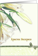 Bulgarian happy easter card,white lily, christ is risen card