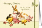happy easter to my grandson, vintage bunnies and chicks easter card