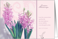 easter blessings, pink crocus flower, christian happy easter card, John 11:25 card