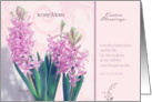 to my mom, easter blessings, pink crocus flower, christian happy easter card, John 11:25 card
